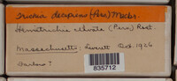 Image Associated With the Occurence